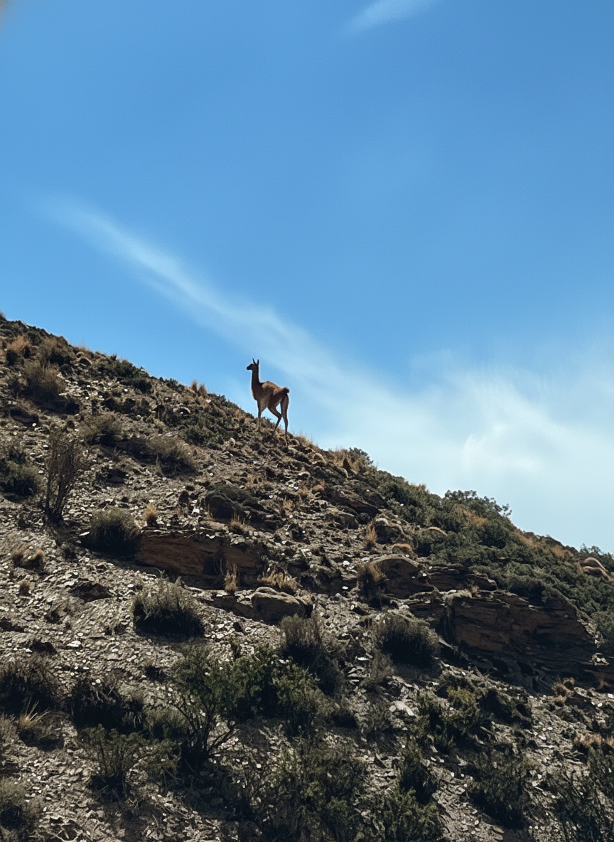 4x4 vehicle on mountain trail in Mendoza